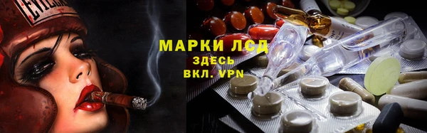 сатива Бугульма