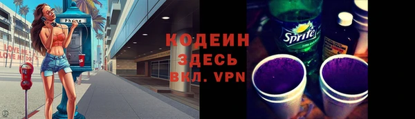прущие грибы Верея