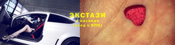 прущие грибы Верея