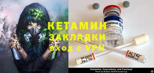 прущие грибы Верея