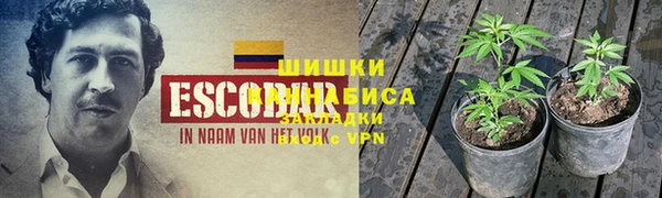 сатива Бугульма
