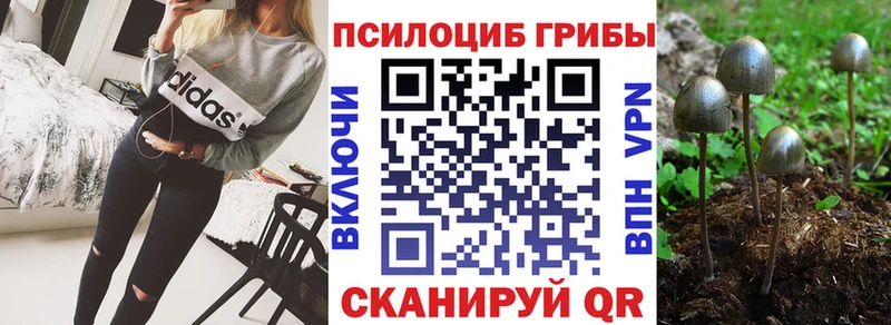 МЕГА зеркало  Старая Русса  Псилоцибиновые грибы GOLDEN TEACHER 